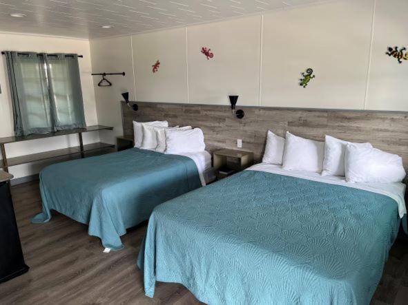 Swell Motel บักซ์ตัน ภายนอก รูปภาพ